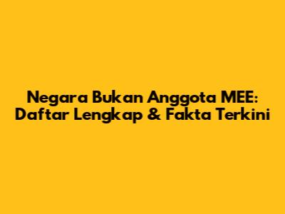Negara Bukan Anggota MEE: Daftar Lengkap & Fakta Terkini