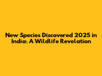 New Species Discovered 2025 in India: A Wildlife Revelation