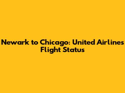 Newark to Chicago: United Airlines Flight Status