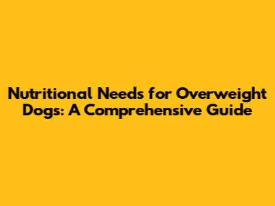 Nutritional Needs for Overweight Dogs: A Comprehensive Guide