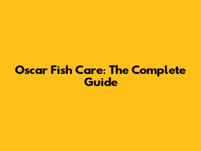 Oscar Fish Care: The Complete Guide