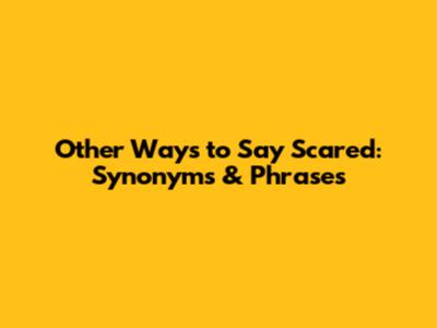 Other Ways to Say Scared: Synonyms & Phrases