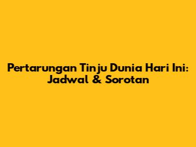 Pertarungan Tinju Dunia Hari Ini: Jadwal & Sorotan