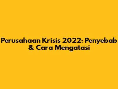 Perusahaan Krisis 2022: Penyebab & Cara Mengatasi