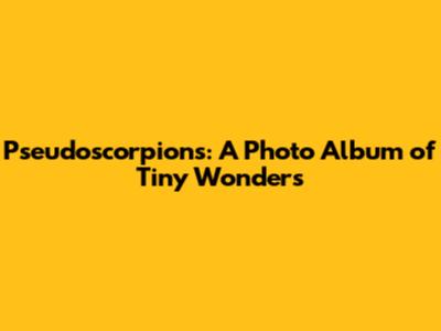 Pseudoscorpions: A Photo Album of Tiny Wonders