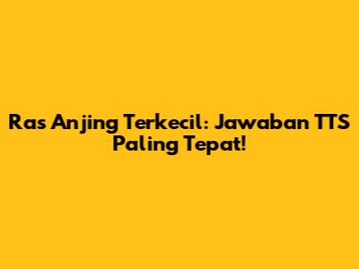 Ras Anjing Terkecil: Jawaban TTS Paling Tepat!
