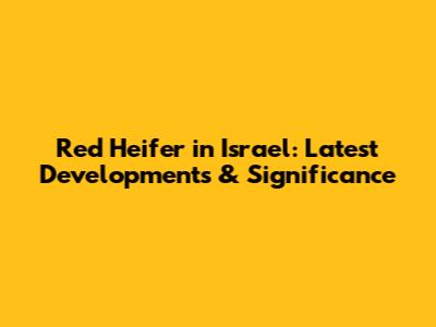 Red Heifer in Israel: Latest Developments & Significance
