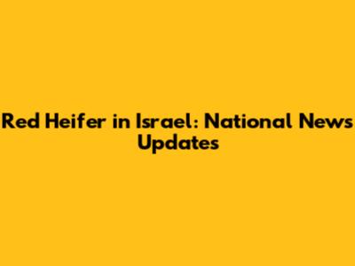 Red Heifer in Israel: National News Updates