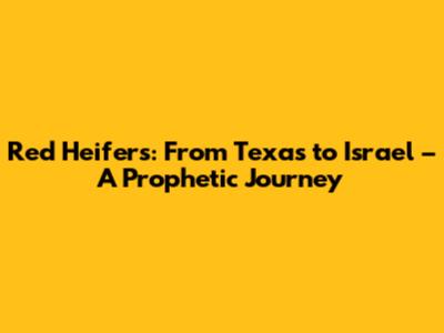 Red Heifers: From Texas to Israel – A Prophetic Journey