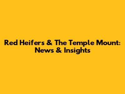 Red Heifers & The Temple Mount: News & Insights