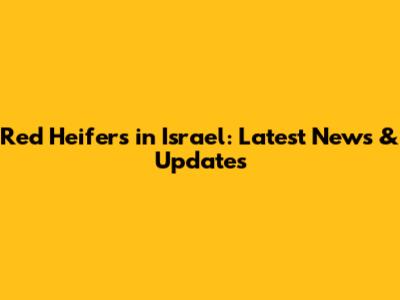 Red Heifers in Israel: Latest News & Updates