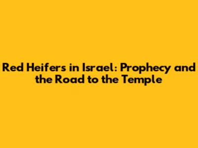 Red Heifers in Israel: Prophecy and the Road to the Temple