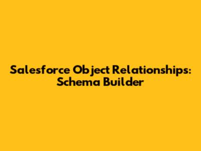 Salesforce Object Relationships: Schema Builder