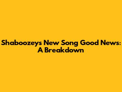 Shaboozey's New Song 'Good News': A Breakdown