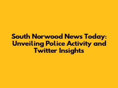 South Norwood News Today: Unveiling Police Activity and Twitter Insights