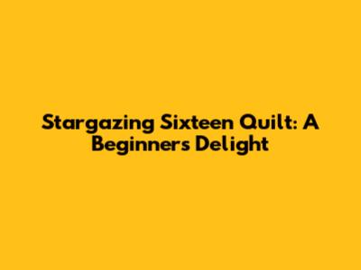 Stargazing Sixteen Quilt: A Beginner's Delight