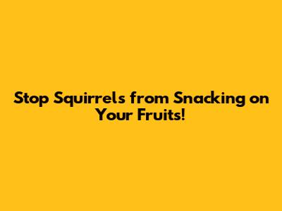 Stop Squirrels from Snacking on Your Fruits!