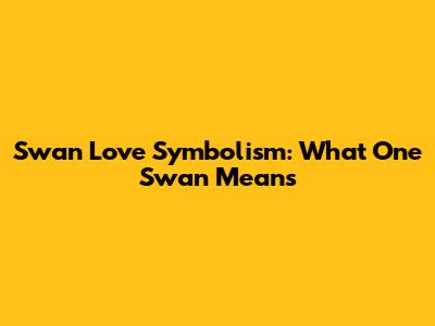 Swan Love Symbolism: What One Swan Means