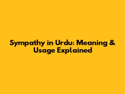 Sympathy in Urdu: Meaning & Usage Explained