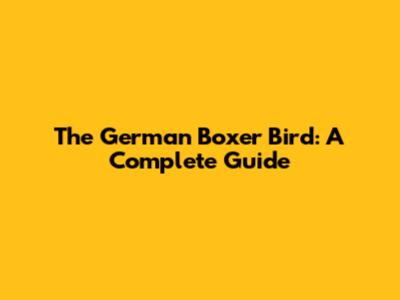 The German Boxer Bird: A Complete Guide
