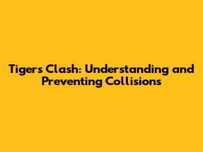 Tiger's Clash: Understanding and Preventing Collisions