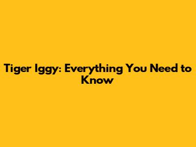 Tiger Iggy: Everything You Need to Know