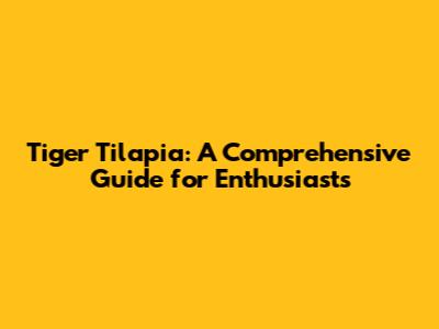 Tiger Tilapia: A Comprehensive Guide for Enthusiasts