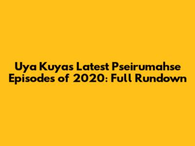 Uya Kuya's Latest 'Pseirumahse' Episodes of 2020: Full Rundown