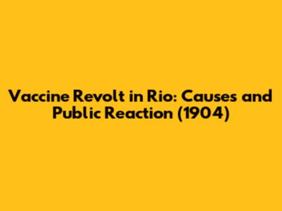 Vaccine Revolt in Rio: Causes and Public Reaction (1904)