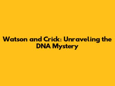 Watson and Crick: Unraveling the DNA Mystery