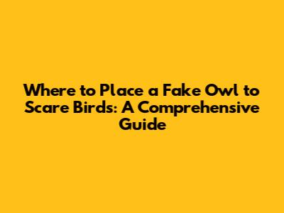 Where to Place a Fake Owl to Scare Birds: A Comprehensive Guide