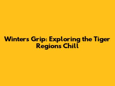 Winter's Grip: Exploring the Tiger Region's Chill